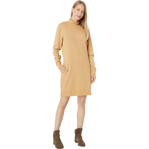 Toad&Co Epiq Mock Neck Dress