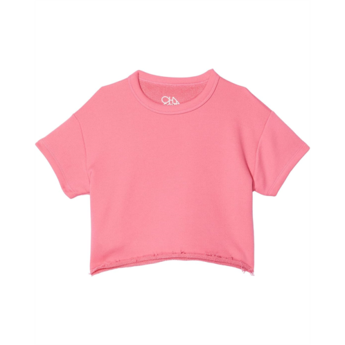 Chaser Kids Zuma Cotton Pullover (Toddler/Little Kids)