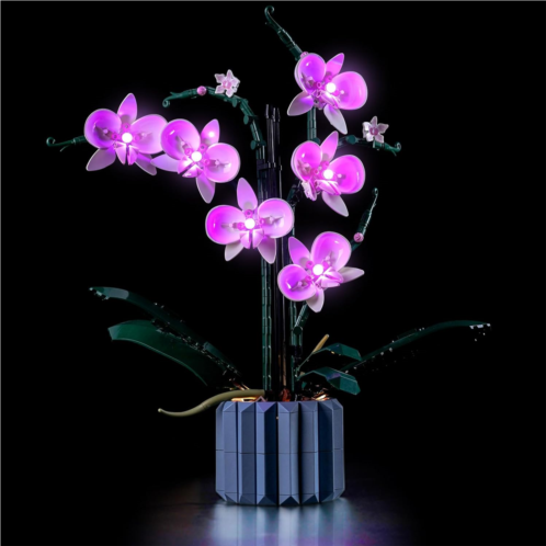 VONADO LED Light Set for 10311 Orchid Set, Pink Lighting Compatible with Orchid Set (No Model), Creative DIY Decor Orchid Flower Light Kit (ONLY Lights)