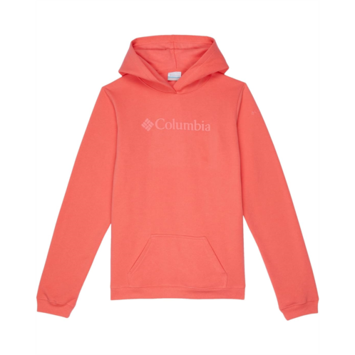 Columbia Kids Trek Hoodie (Little Kids/Big Kids)