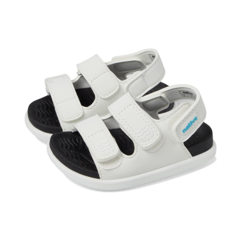 Native Shoes Kids Frankie Sugarlite (Toddler)