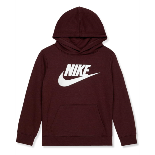 Nike Kids Metallic HBR Pullover Hoodie (Little Kids)