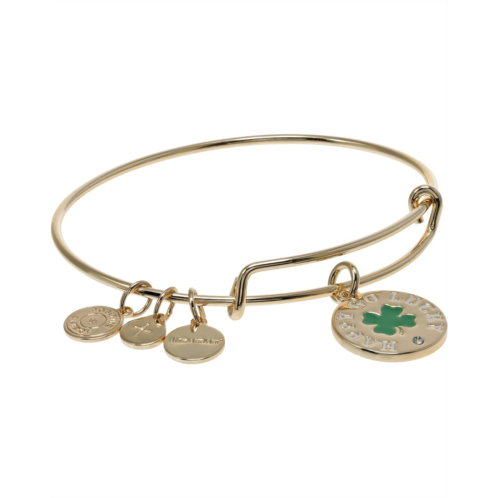 Alex and Ani Happy Go Lucky Bracelet