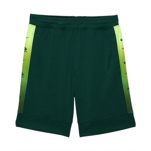 Nike 3BRAND Kids Legacy Shorts (Big Kids)