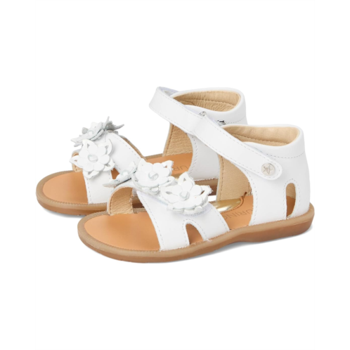 Naturino Flari (Toddler/Little Kid)