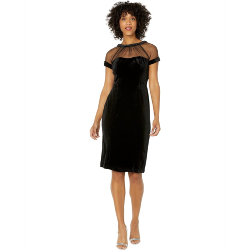 Maggy London Velvet Illusion Dress