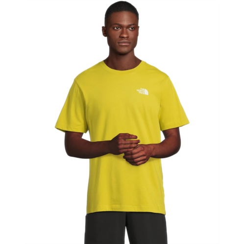 Mens The North Face Evolution Box Nse Short Sleeve Tee