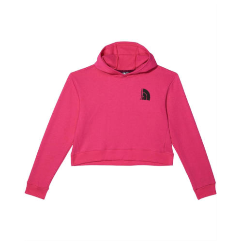 The North Face Kids Camp Fleece Pullover Hoodie (Little Kids/Big Kids)