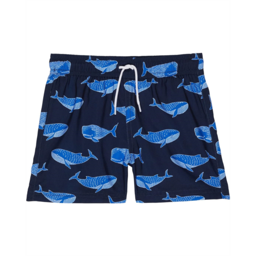 Janie and Jack Printed Swim Trunks (Toddler/Little Kids/Big Kids)