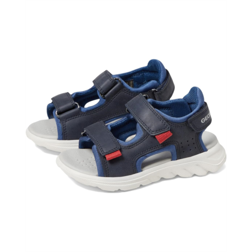 Geox Kids Sandal Airadyum 1 (Toddler/Little Kid/Big Kid)