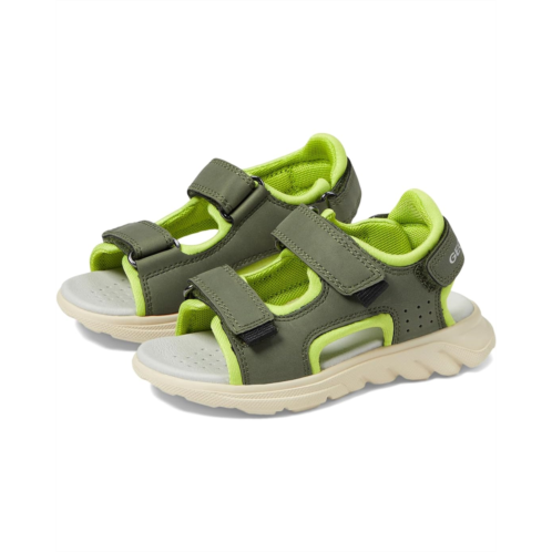 Geox Kids Sandal Airadyum 1 (Toddler/Little Kid/Big Kid)