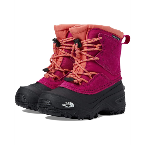 The North Face Kids Alpenglow V Waterproof (Toddler/Little Kid/Big Kid)