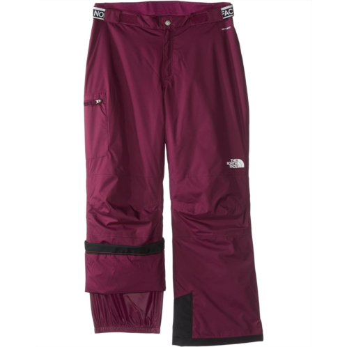 The North Face Kids Freedom Insulated Pants (Little Kids/Big Kids)