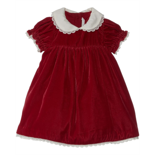 Janie and Jack Velvet Lace Collar Dress (Infant)