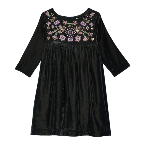 PEEK Embroidered Velvet Dress (Toddler/Little Kids/Big Kids)