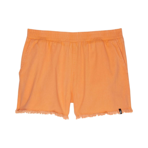 Volcom Kids Strutin Stone Shorts (Little Kids/Big Kids)