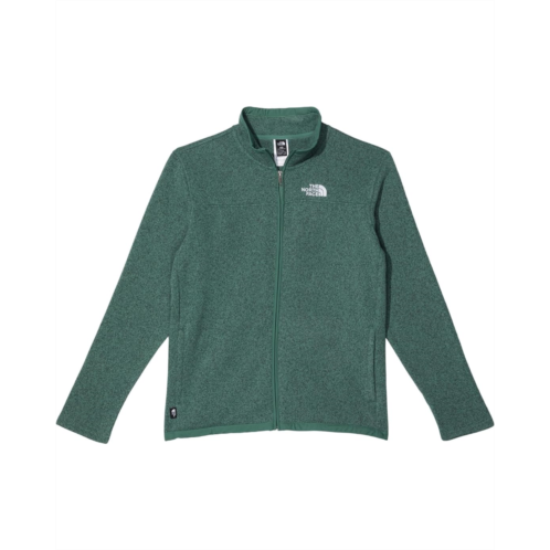 The North Face Kids Sweater Fleece Full Zip (Little Kids/Big Kids)