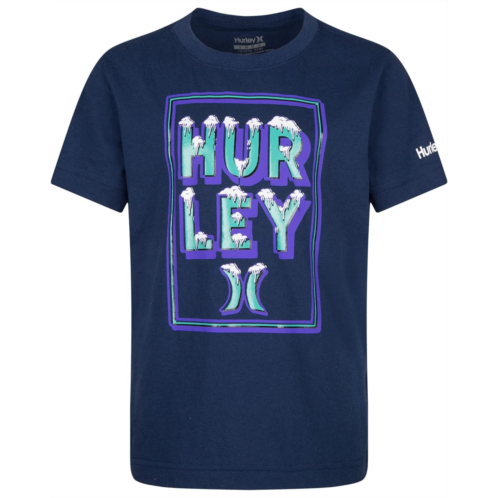 Hurley Kids Graphic T-Shirt (Big Kids)