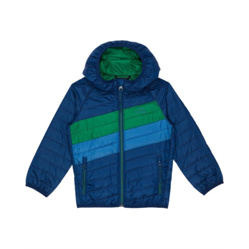 L.L.Bean LLBean Primaloft Packaway Hooded Color-Block Jacket (Toddler)