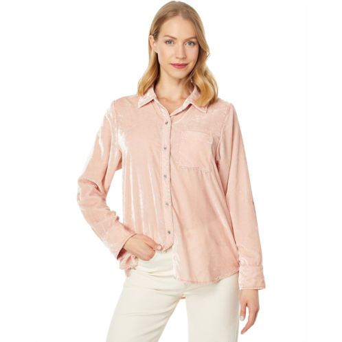Splendid Ryan Velvet Button-Down