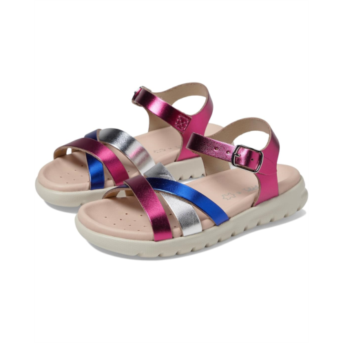 Geox Kids Sandal Soleimagi 12 (Toddler/Little Kid/Big Kid)