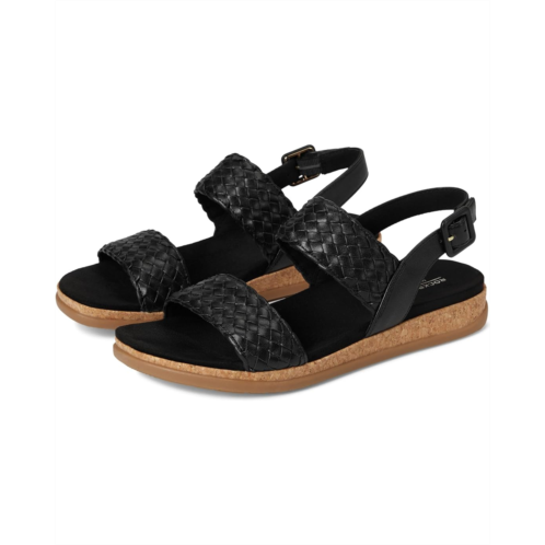 Rockport Yarelia
