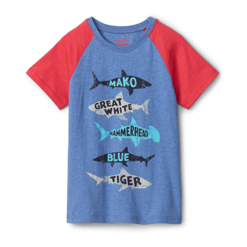 Hatley Kids Lots Of Sharks Raglan Tee (Toddler/Little Kids/Big Kids)