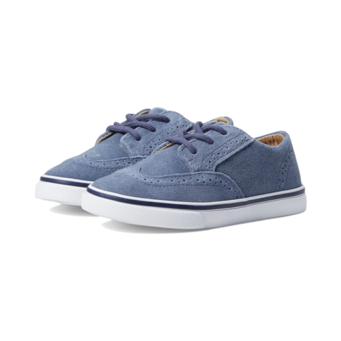 Janie and Jack Wing Tip Sneaker (Toddler/Little Kid/Big Kid)