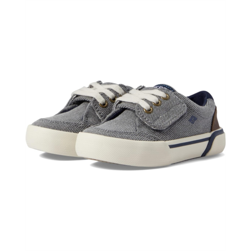 Sperry Kids Harbor Tide (Toddler/Little Kid)