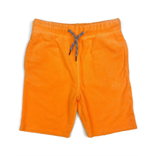 Appaman Kids Camp Shorts (Toddler/Little Kid/Big Kid)