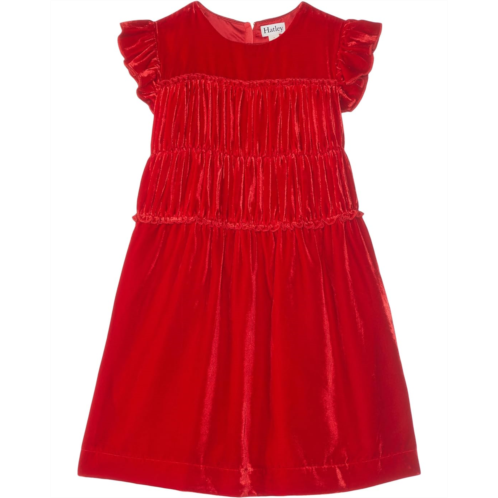 Hatley Kids Velvet Smock Panel Dress (Toddler/Little Kids/Big Kids)