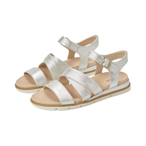 Dr. Scholl s Timeless Life