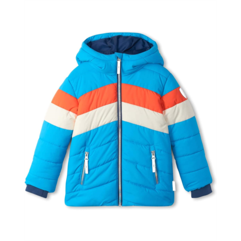 Hatley Kids Retro Winter Puffer Jacket (Toddler/Little Kids/Big Kids)