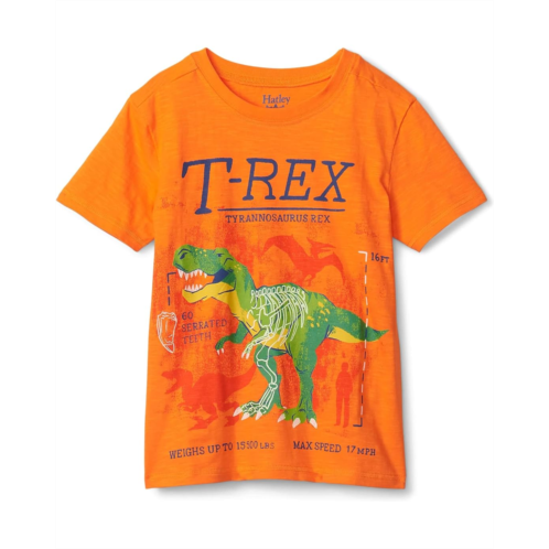 Hatley Kids T-Rex Glow In The Dark Graphic Tee (Toddler/Little Kids/Big Kids)