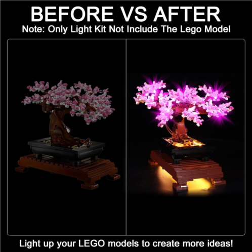 Hilighting Upgraded Led Light Kit for Lego Icons Bonsai Tree Building Set, Compatible with Lego 10281 (Model Not Included)