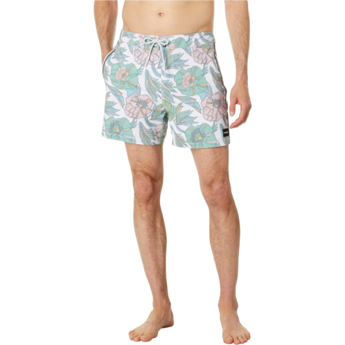 Hurley Phantom Naturals Sessions 16 Boardshorts