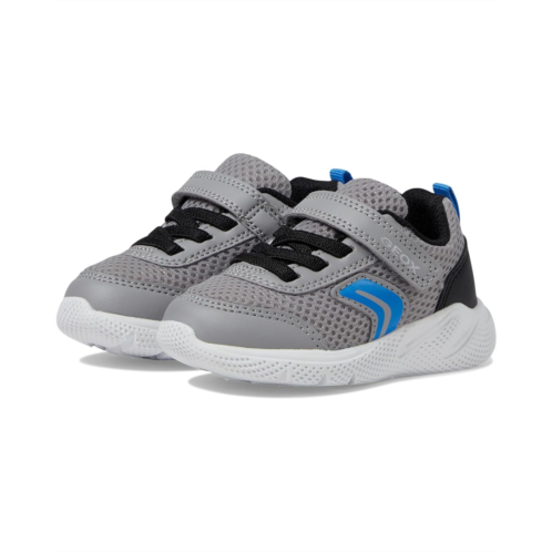 Geox Kids Sprintye 15 (Toddler)