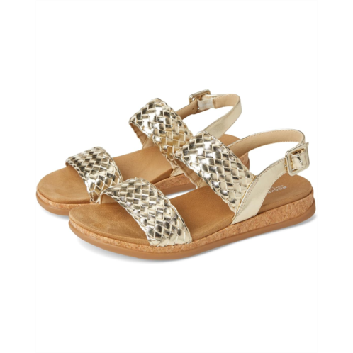 Rockport Yarelia