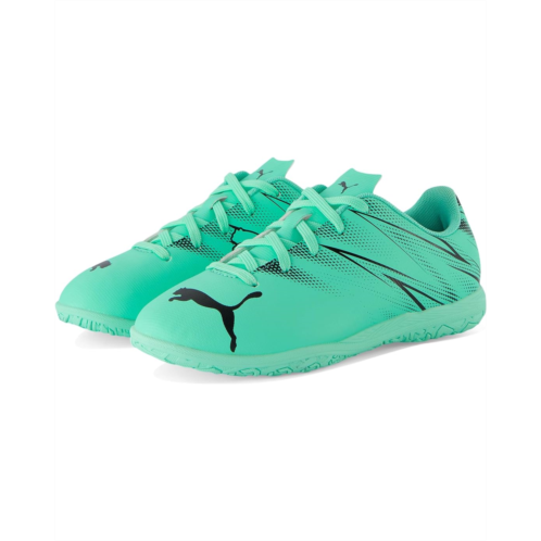 PUMA Kids Attacanto Indoor Training (Little Kid/Big Kid)