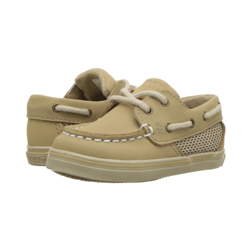 Sperry Kids Intrepid Crib (Infant)