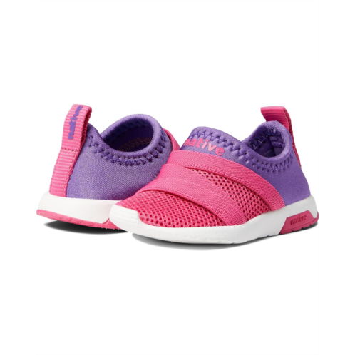 Native Shoes Kids Phoenix (Toddler/Little Kid)