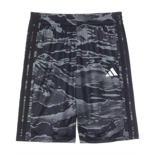 Adidas Kids Aop Tiger Camo Shorts (Big Kids)