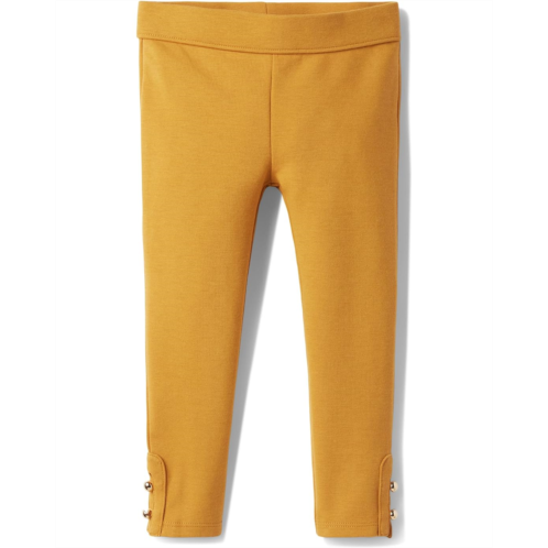 Janie and Jack Solid Ponte Pants (Toddler/Little Kids/Big Kids)