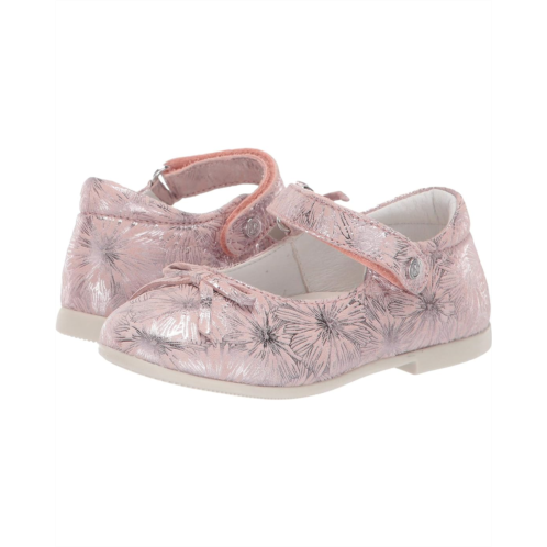 Naturino Ballet (Toddler/Little Kid)