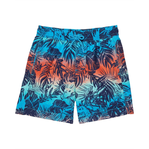 Hatley Kids Jungle Dinos Swim Trunks (Toddler/Little Kids/Big Kids)