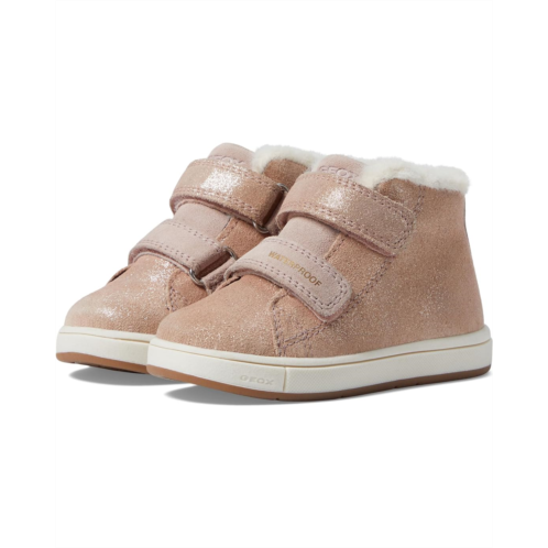 Geox Kids Trottola WPF 1 (Toddler)