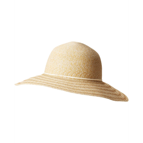 Sunday Afternoons Sun Haven