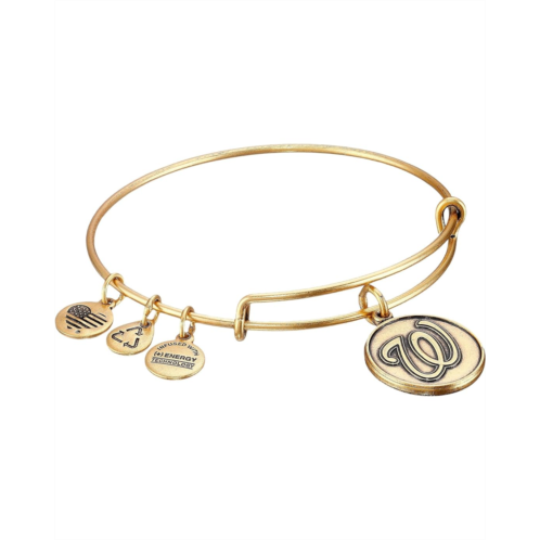 Alex and Ani MLB Washington Nationals Charm Bangle