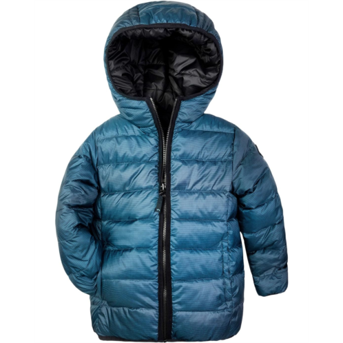 Appaman Kids Reversible Insulated Lightweight Puffer Jacket (Toddler/Little Kids/Big Kids)