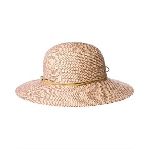 Sunday Afternoons Sol Seeker